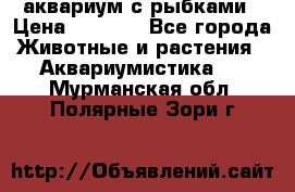 аквариум с рыбками › Цена ­ 1 000 - Все города Животные и растения » Аквариумистика   . Мурманская обл.,Полярные Зори г.